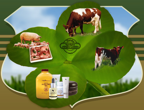 porc, boeuf, veau, viande, produit terroir