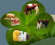 epicerie fine, boeuf, veau, porc